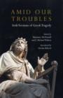 Amid Our Troubles : Irish Versions of Greek Tragedy - Book