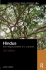 Hindus : Their Religious Beliefs and Practices - Book
