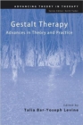 Gestalt Therapy : Advances in Theory and Practice - Book