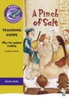 Navigator Plays: Year 4 Blue Level A Pinch of Salt Teacher Notes - Book