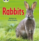 Bug Club Phonics - Phase 5 Unit 27: Rabbits - Book