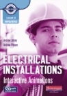 Level 3 NVQ/SVQ Electrical Installations Interactive Animations CD-ROM - Book