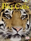 Bc Nf Brown B/3b Big Cats - Book