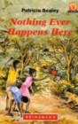 Nothing Ever Happens Here - Book