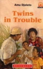 Twins in Trouble - Book