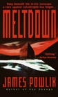 Meltdown - Book