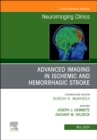 Advanced Imaging in Ischemic and Hemorrhagic Stroke, An Issue of Neuroimaging Clinics of North America : Volume 34-2 - Book