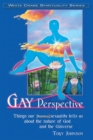 Gay Perspective: Things Our [Homo]sexuality Tells Us About the Nature of God and the Universe - eBook