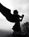 Dark Angel : Sir Michael dark angel Art Journal - Book