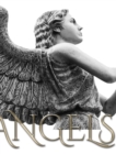 Angels journal - Book