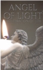 celebration of Life Angel Of Light Journal : celebration of Life Angel of Light - Book