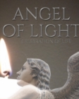 celebration of life Angel remembrance Journal : celebration of life Angel remembrance Journa - Book