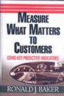 Measure What Matters to Customers : Using Key Predictive Indicators (KPIs) - eBook