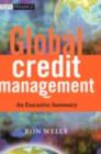 Global Credit Management : An Executive Summary - eBook