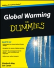 Global Warming For Dummies - Book