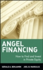 Angel Financing : How to Find and Invest in Private Equity - Book