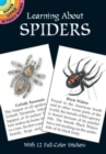 Learning about Spiders - Book