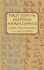 First Steps in Egyptian : A Book for Beginners - Book