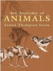 Art Anatomy of Animals - Book