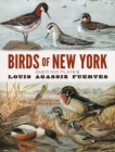 Birds of New York : Over 100 Plates - Book