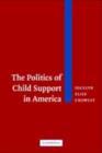 Politics of Child Support in America - eBook