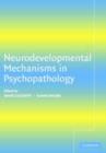 Neurodevelopmental Mechanisms in Psychopathology - eBook