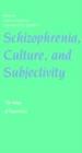 Schizophrenia, Culture, and Subjectivity : The Edge of Experience - eBook