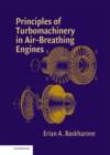 Principles of Turbomachinery in Air-Breathing Engines - eBook