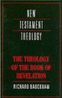 The Theology of the Book of Revelation - eBook