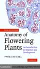 Anatomy of Flowering Plants : An Introduction to Structure and Development - eBook