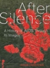 After Silence : A History of AIDS through Its Images - Book
