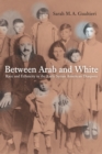 Between Arab and White : Race and Ethnicity in the Early Syrian American Diaspora - eBook