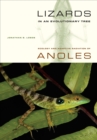Lizards in an Evolutionary Tree : Ecology and Adaptive Radiation of Anoles - eBook