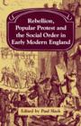 Rebellion, Popular Protest and the Social Order in Early Modern England - Book