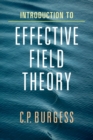 Introduction to Effective Field Theory : Thinking Effectively about Hierarchies of Scale - Book