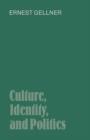 Culture, Identity, and Politics - Book