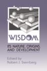 Wisdom : Its Nature, Origins, and Development - Book