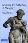 Growing Up Fatherless in Antiquity - Book