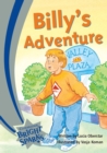 Bright Sparks: Billy's Adventure - Book