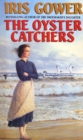 The Oyster Catchers (The Cordwainers: 2) : A sweeping, emotional Welsh saga of love and determination... - Book