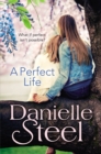 A Perfect Life - Book