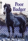Poor Badger - Book