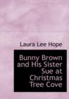 Bunny Brown and His Sister Sue at Christmas Tree Cove - Book