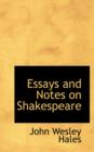 Essays and Notes on Shakespeare - Book