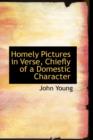 Homely Pictures in Verse, Chiefly of a Domestic Character - Book