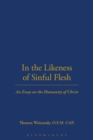 In the Likeness of Sinful Flesh : An Essay on the Humanity of Christ - eBook