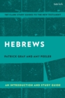 Hebrews: An Introduction and Study Guide - Book
