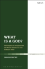 What is a God? : Philosophical Perspectives on Divine Essence in the Hebrew Bible - Book