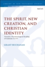 The Spirit, New Creation, and Christian Identity : Towards a Pneumatological Reading of Galatians 3:1-6:17 - Book