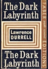 Dark Labyrinth - Book
